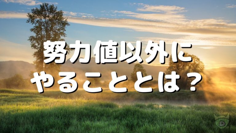 ポケモン剣盾の育成 努力値を振り終えたあとにやることとは ポケモニット