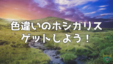 ポケモン剣盾の大会 Global Challenge Winter が始まる 参加賞でbpも ポケモニット ポケモン剣盾の大会 Global Challenge Winter が始まる 参加賞でbpも ポケモニット